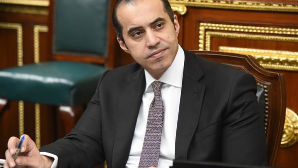 المستشار محمود فوزى