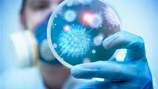 فيروس كورونا