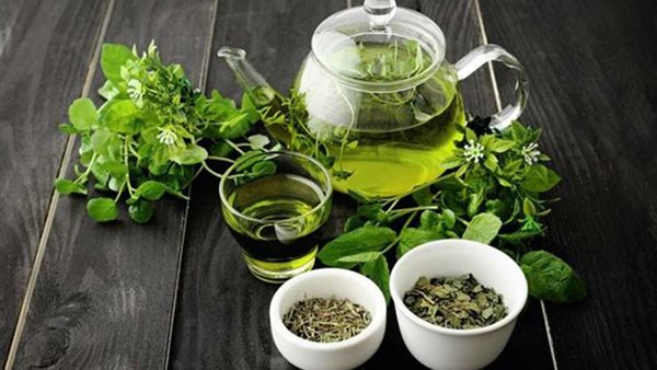 الشاي الاخضر