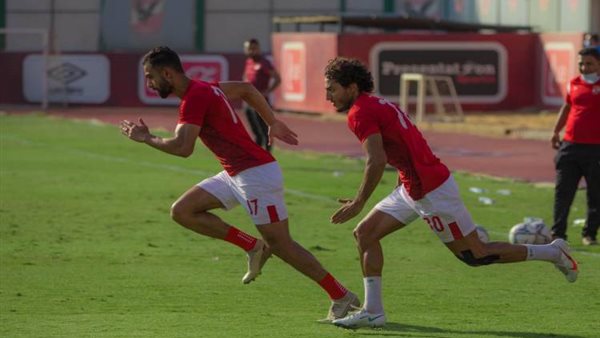 محمد هاني-أرشيفية