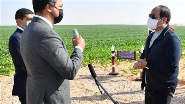 الرئيس السيسي  -