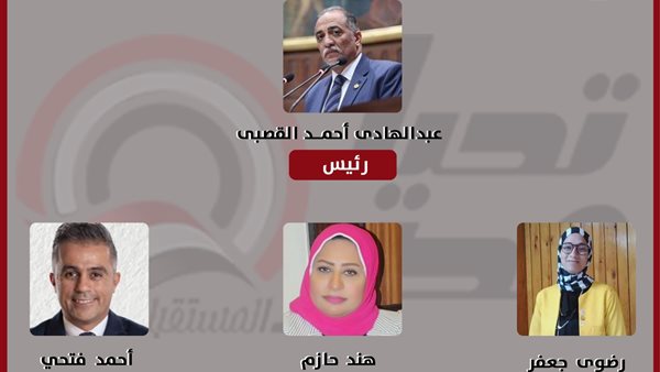 خاص تحيا مصر-  لجنة