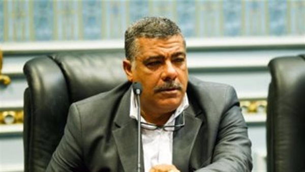 النائب معتز محمود