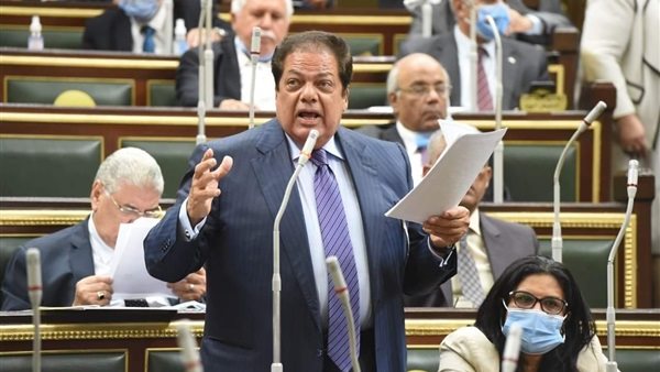 وكيل مجلس النواب