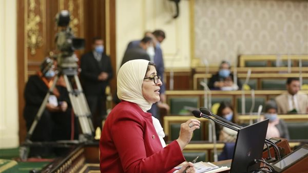 هالة زايد أمام مجلس