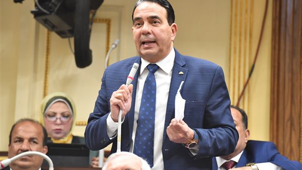 أيمن أبو العلا -