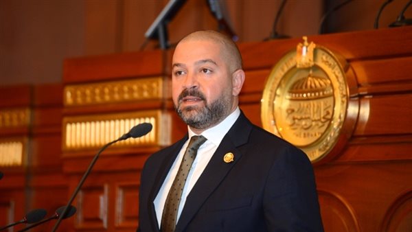 النائب أحمد دياب