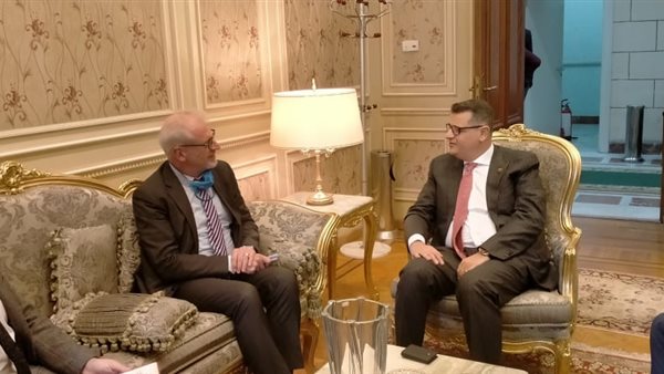 النائب طارق رضوان