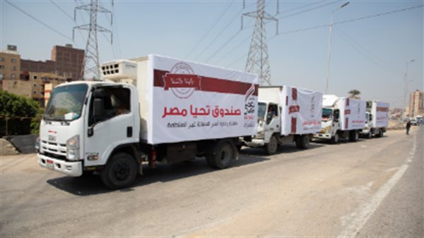 صندوق تحيا مصر -