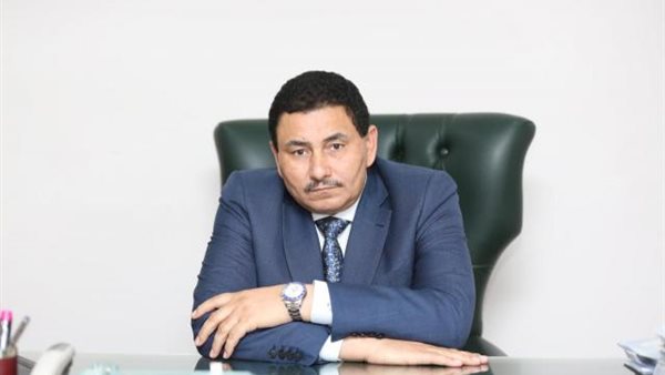 إبراهيم أبو دوح -