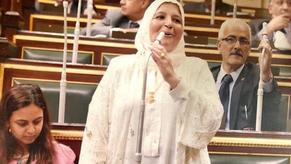 النائبة سلوى أبو