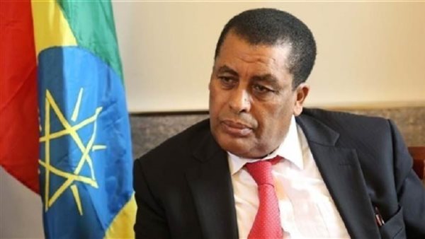 السفير دينا مفتي