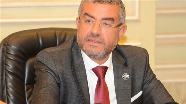 عماد سعد حمودة -