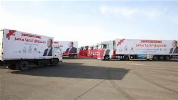 صندوق تحيا مصر -