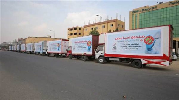 صندوق تحيا مصر -