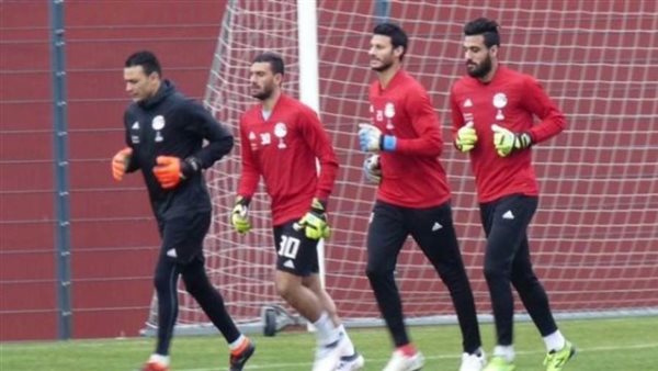 احمد الشناوي - ارشيفية