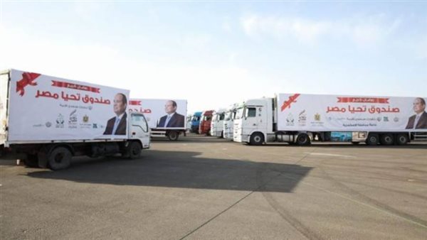 صندوق تحيا مصر -