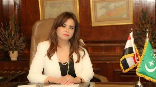 أمل سلامة - أرشيفية