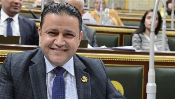 النائب شحاتة أبو