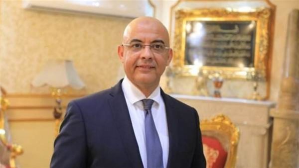 النائب عمرو هندى