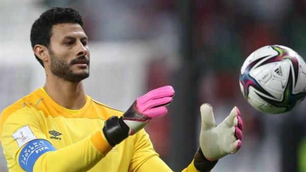 محمد الشناوي.أرشيفية