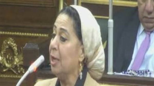 النائبة ليلى أبو