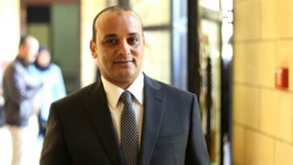 النائب عمرو وطنى