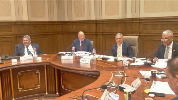 أحمد السجيني