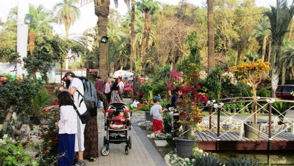 معرض الزهور- ارشيفية