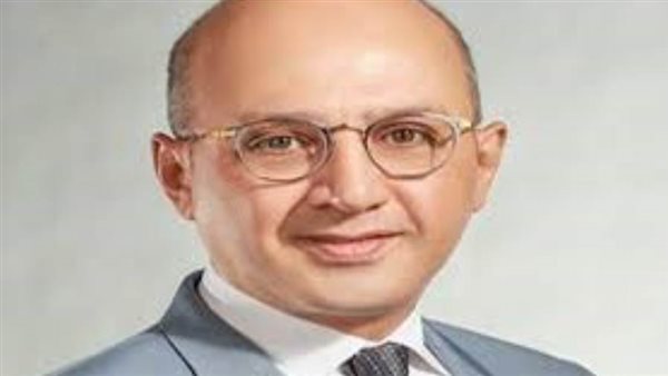 النائب هشام حسين