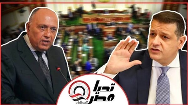 وزير الخارجية والنائب