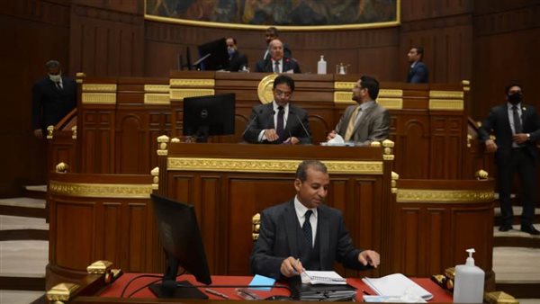 مجلس الشيوخ- ارشيفية