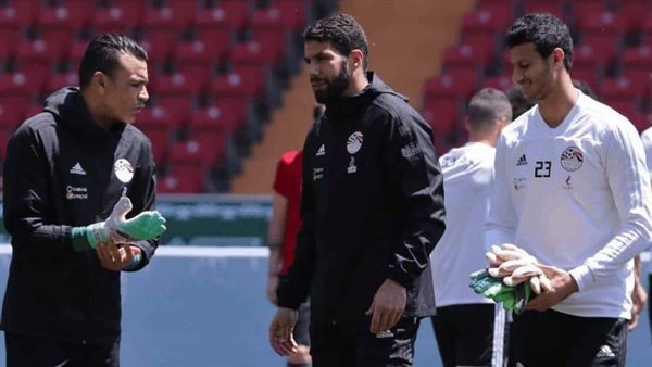 محمد الشناوي/أرشيفية