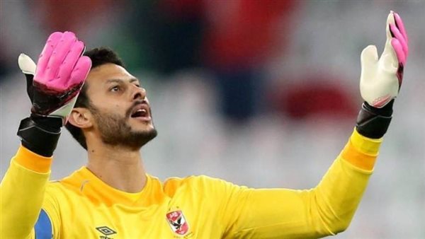 محمد الشناوي - أرشيفية