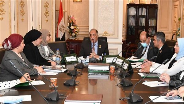 لجنة التضامن - أرشيفية