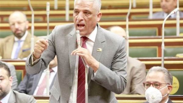 النائب محمد الحسينى