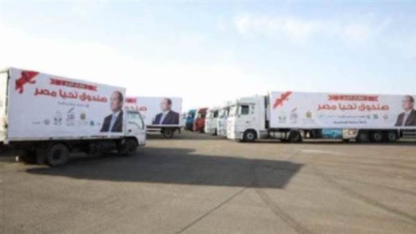 صندوق تحيا مصر -