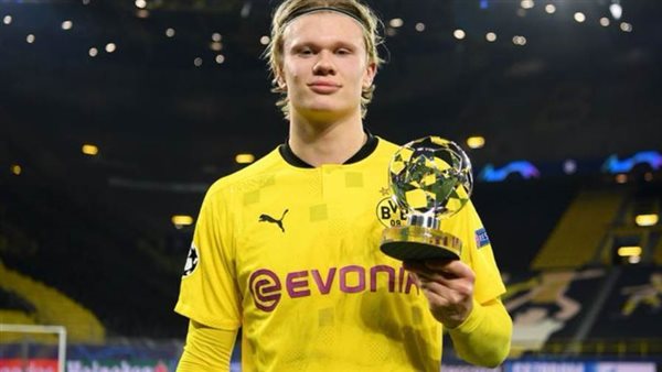 هالاند-أرشيفية