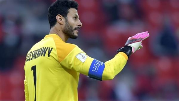 محمد الشناوي - أرشيفية