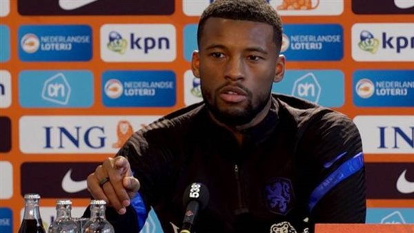 فينالدوم - أرشيفية