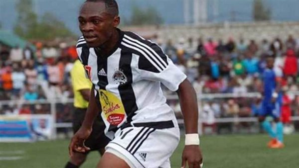 موليكا.أرشيفية