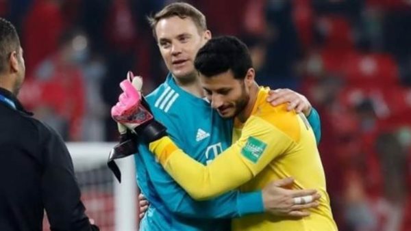 محمد الشناوي -نوير