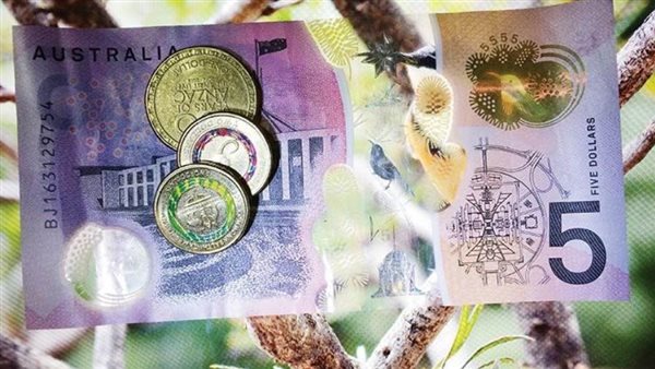 العملة البلاستيكية