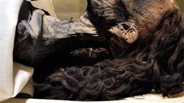 شعر مومياء الملكة