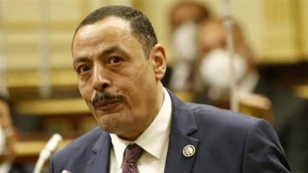 النائب أشرف أمين