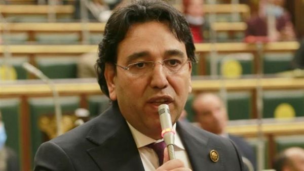 النائب أيمن محسب