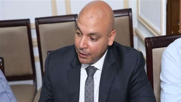 النائب محمود القط