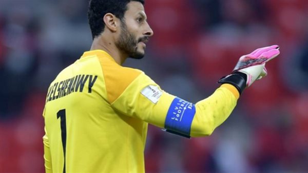 محمد الشناوي -أرشيفية