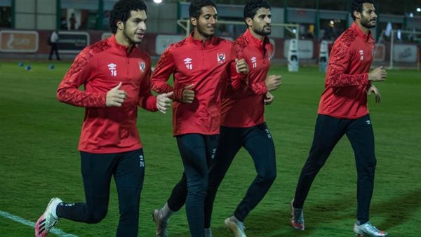 علي لطفي -أرشيفية