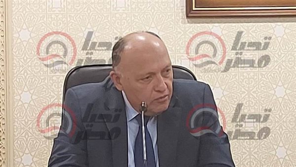 سامح شكري وزير الخارجية